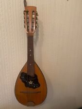 Mandolin with carry bag