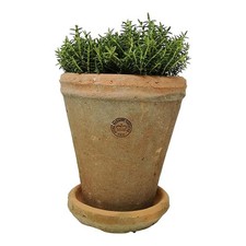 Large Kew Gardens Pot Tall