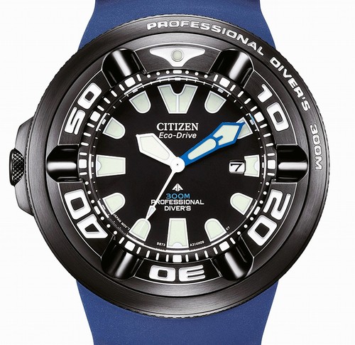 Citizen promaster professional - citizen,