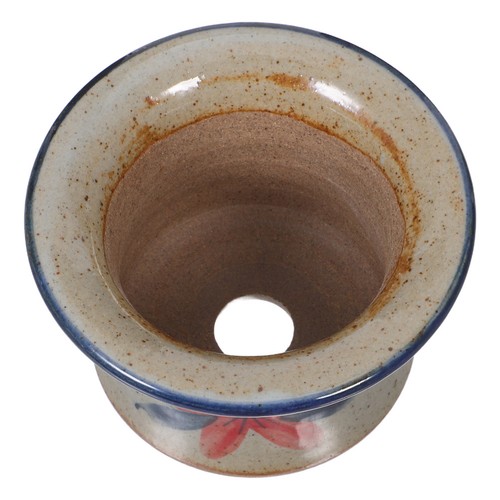 Ceramic plant pots - plant,