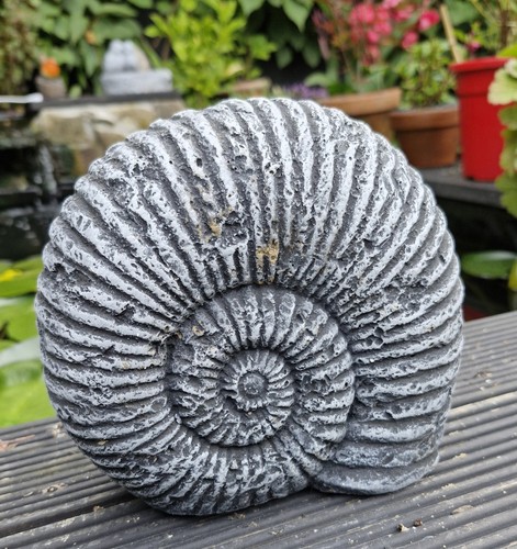 Cement annamite fossil garden - fossil,
