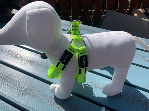 Hotdog led rechargeable canvas - hotdog,