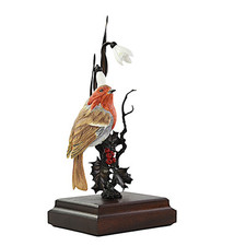 David Fryer, Bird, Robin And Snowdrops