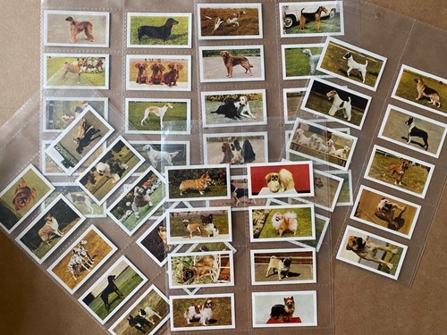 Hornimans tea dogs - hornimans,