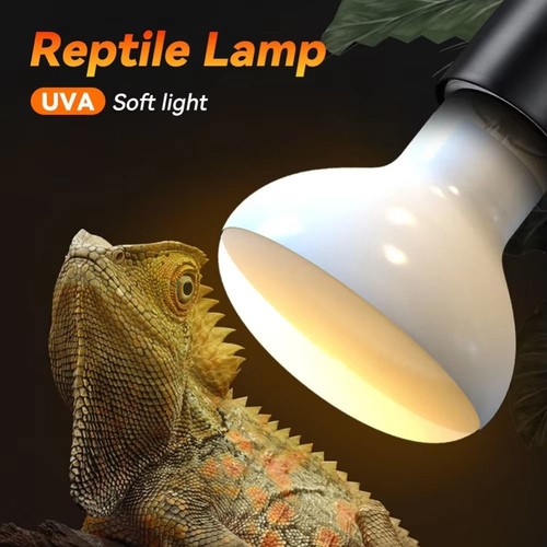 E27 daylight heat bulb - e27,