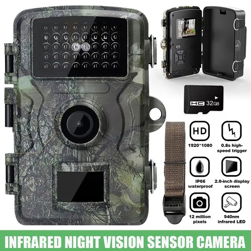 Trail wildlife camera - trail, with