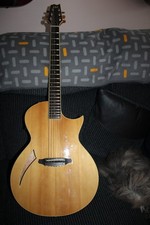 Ltd esp electric guitar - esp,