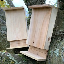 Set of 2 Wooden Bat Boxes for