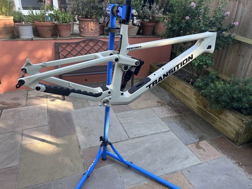 Transition sentinel carbon - sentinel,