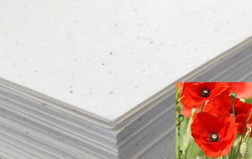 Seeded craft paper sheets - 10,