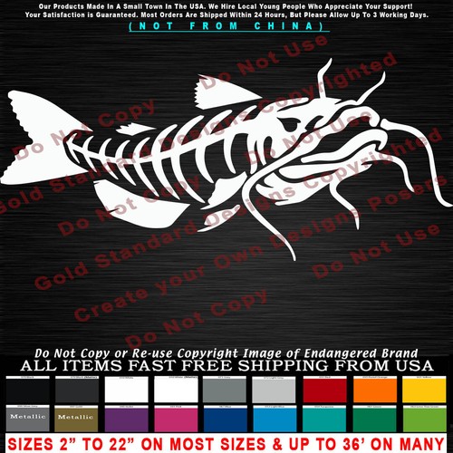 Catfish skeleton look right - -,