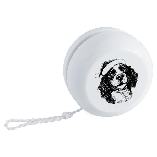 English springer spaniel - springer,