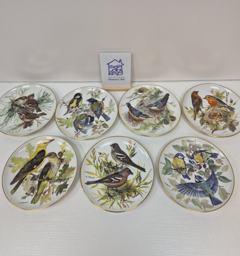 Tirschenreuth bradex bird - tirschenreuth,