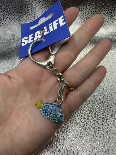 Sealife finding nemo - finding,