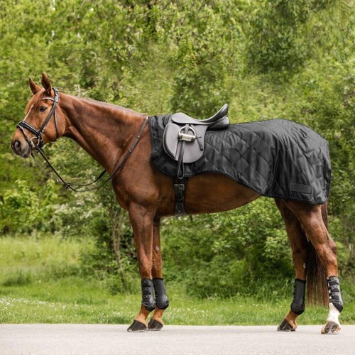 Waldhausen exclusive exercise - waldhausen,