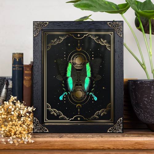 The peacock butterfly gold - the,