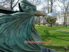 PHOTO  THE FORCE OF NATURE