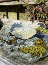 Natural Basalt Polished Cobble