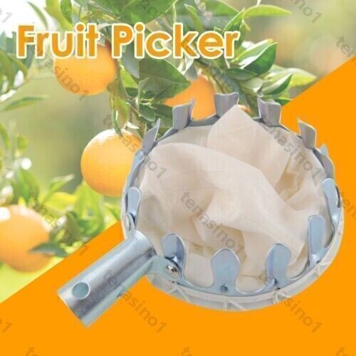 Apple fruit picker lightweight - apple,