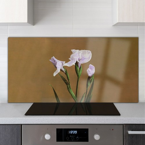 Glass cooker splashback for - glass,