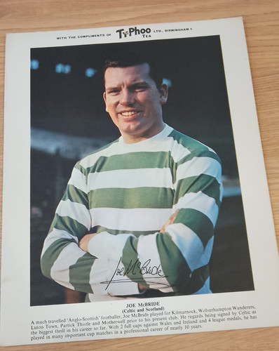 Joe mcbride celtic scotland - mcbride, &