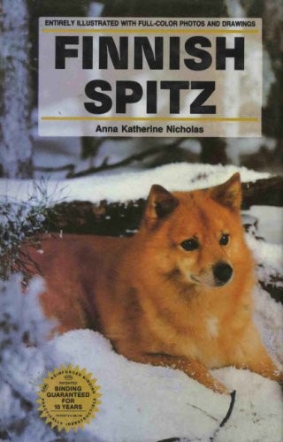 Finnish spitz anna katherine - spitz-anna,