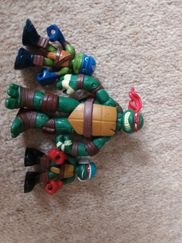 Teenage mutant ninja - teenage,