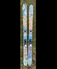 Elan Deep skis
