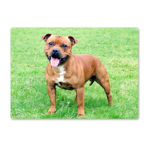 Metal wall sign dogs - -,