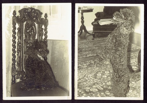Two c1947 snapshots 5x7 - snapshots, photos