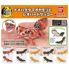 Ikimono Encyclopedia Repti Namerhadatama & Leopard Gecko Full Set of 5 Gashapon