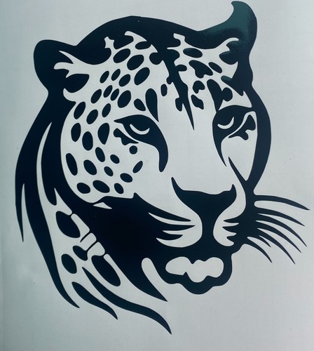 Large cat vinyl - 1x,