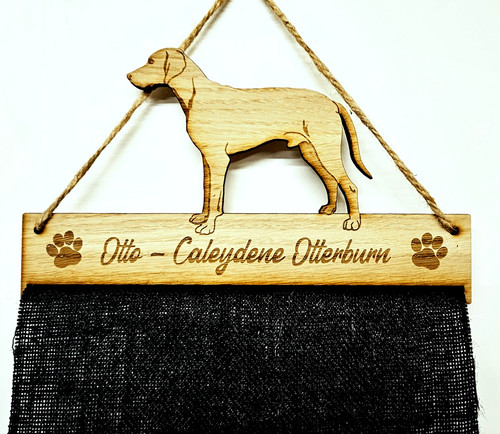 Weimaraner dog puppy 6mm - puppy,