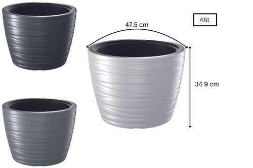 Round tall plant - round,