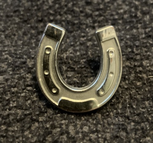 Horseshoe pin badge - badge, lucky