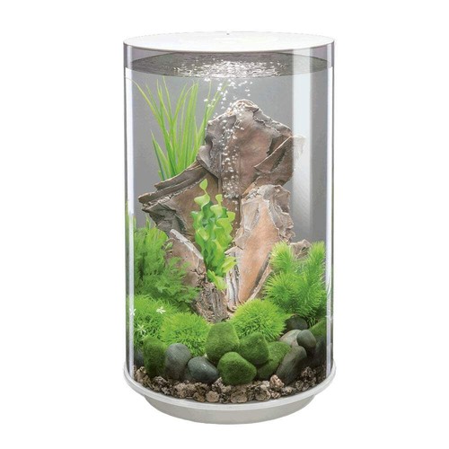 Biorb tube aquarium - biorb,