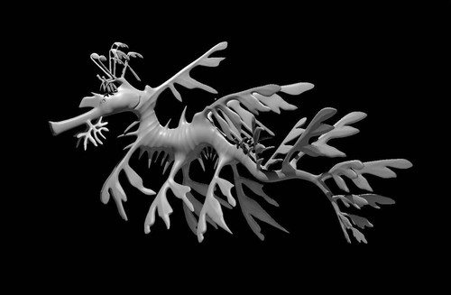 Giant leafy seadragon - giant, for