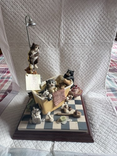 Comic and curious cats - curious,