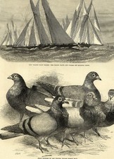 1872 ILLUSTRATED LONDON NEWS