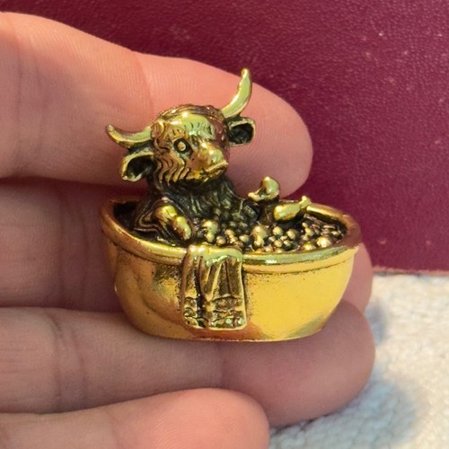 Bg11 brass highland - highland, cow