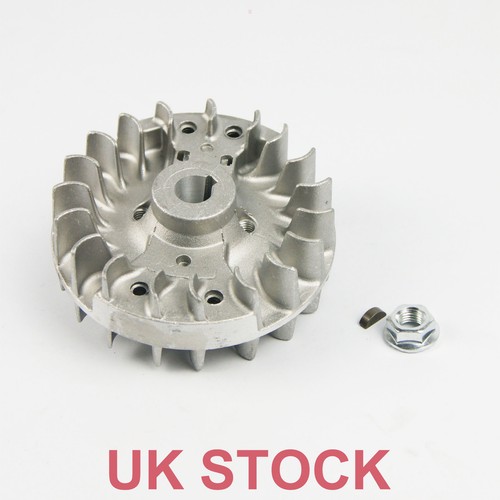 Flywheel magneto for - for, hpi