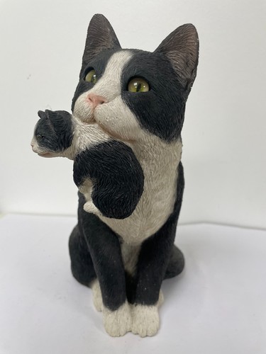 Sandicast tuxedo cat kitten - tuxedo,