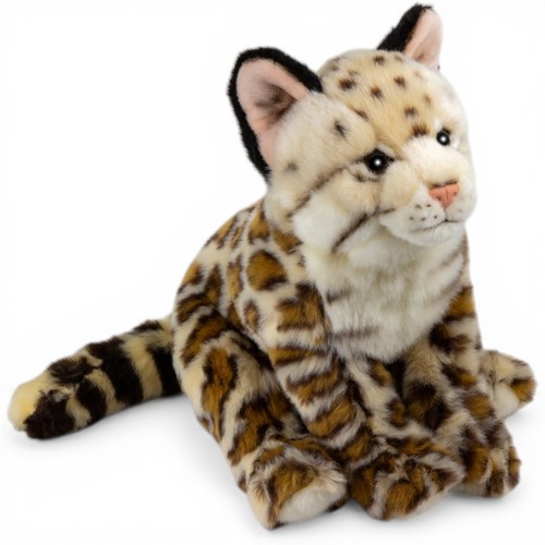 Carl dick ocelot - dick, sitting