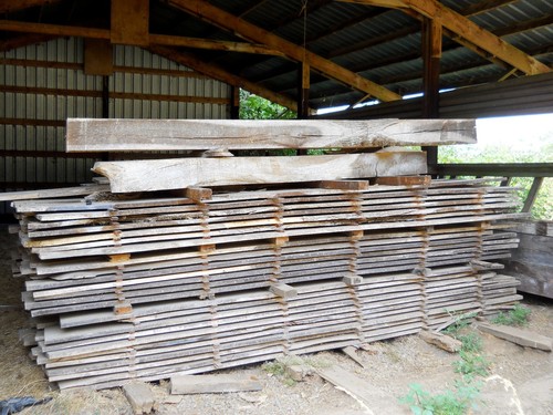 Huge lot rustic - rustic, live