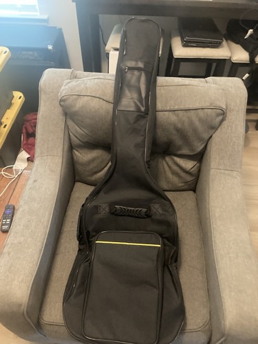 Electric bass guitar gig bag - electric,
