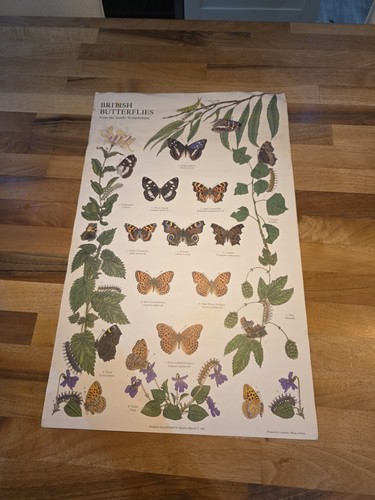 British butterflies marilyn - by,