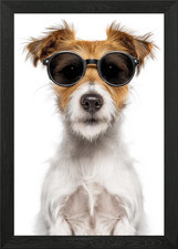 Cool Parson Russell Terrier