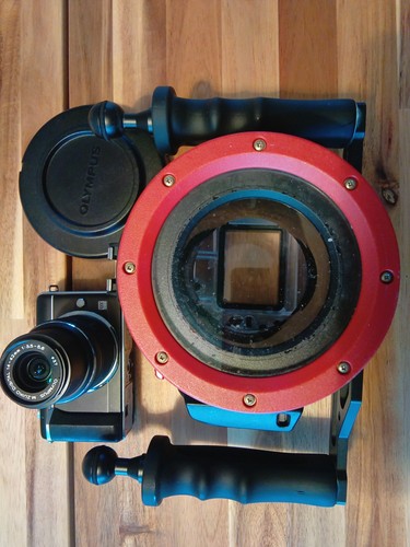 Camera and underwater housing