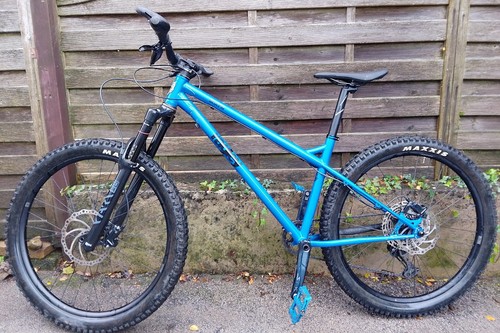 Ragley blue pig - blue, steel