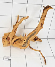 Premium Aquarium Natural Red